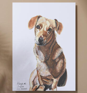 Pet Portraits — Maya dog portrait Pet Portraits — Maya dog portrait